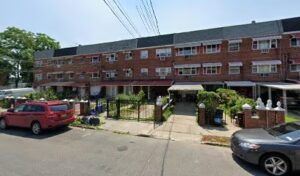 bunny bear slimes bunny bear slimes bronx 164