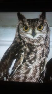 Moe's Enchanted Place of Nature moes enchanted place of nature binghamton 6