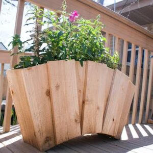 MORNING DOVE CUSTOM CREATIONS morning dove custom creations lackawanna 21